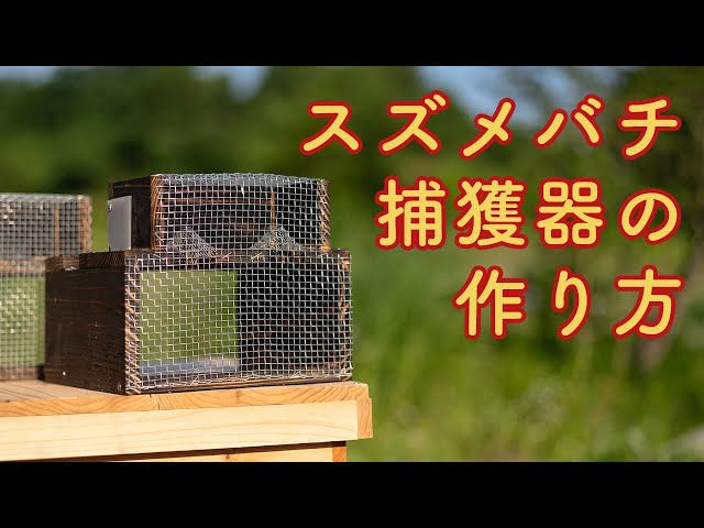 How to Make a Hornet Trap [Homemade] Beekeeping / Iwate Prefecture