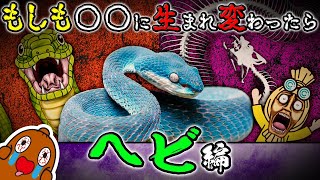 わっくんのへび Amazon.co.jp: ヘビのぬいぐるみ、アナコンダヘビの