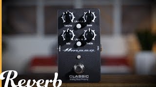 Ampeg Classic Analog Bass Preamp | Reverb Demo Video - YouTube