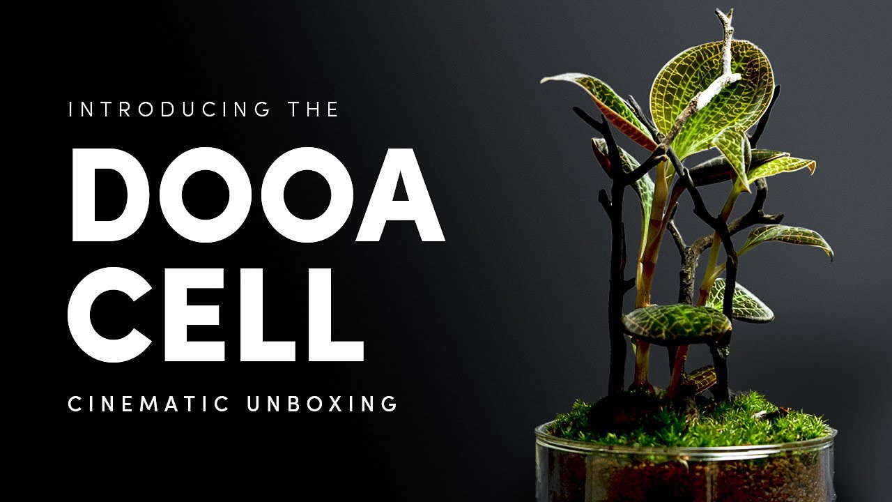 DOOA CELL Amber – horizon aquatics