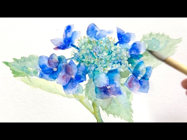 K.Nagato 油彩画 アジサイの花 K.Nagato 油彩画 アジサイの花 K.Nagato