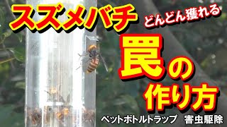 害虫駆除 スズメバチの罠をペットボトルで作って捕獲 退治 駆除