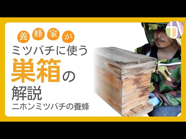 違いを説明】ニホンミツバチ養蜂の巣箱｜か式巣箱（巣枠式巣箱）と重箱