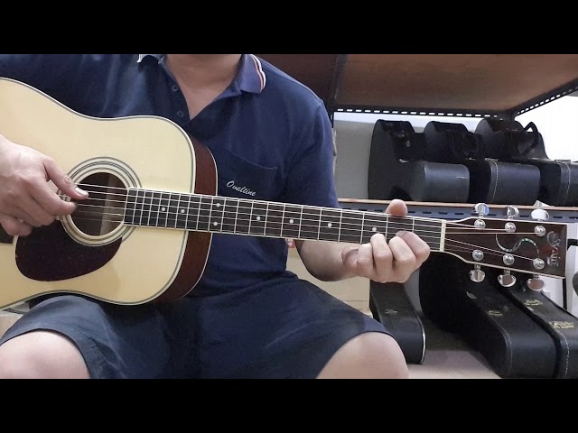 S.yairi アコースティックギター YD-30/N S.Yairi YD-30/N エスヤイリ