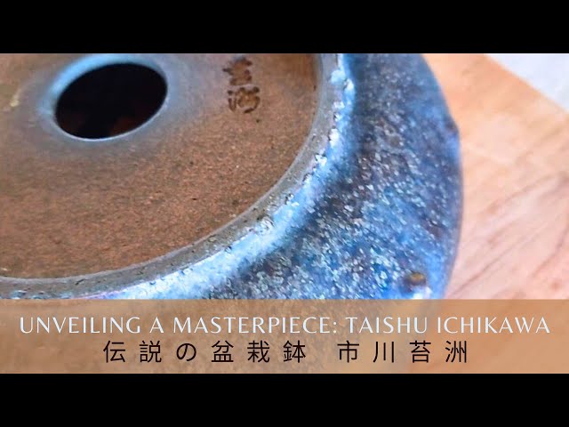 Unveiling a Masterpiece: Taishu Ichikawa 伝説の盆栽鉢 市川苔洲