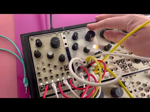 Mannequins Silhouette モジュラーシンセ SILHOUETTE – WHIMSICAL RAPS