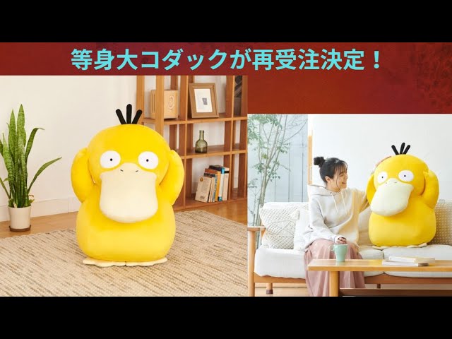 コダック 等身大 ぬいぐるみ 未開封 ぬいぐるみ ポケモン 等身大