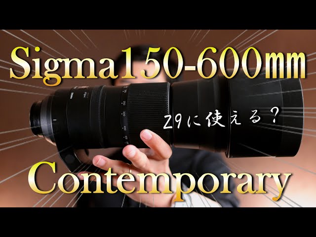 Sigma 150-600mm Contemporary│NikonZ9で使った使用感 - YouTube