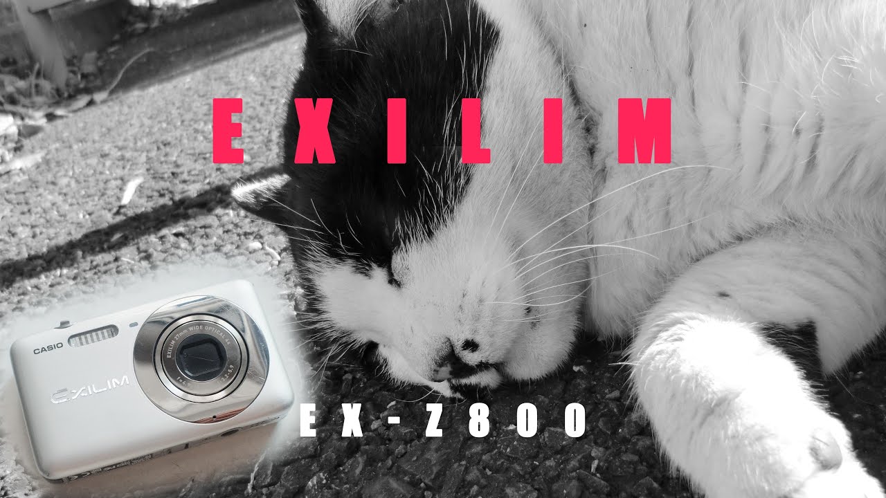 ジャンク500円で買った12年前のデジカメの写りを見せるぞい CASIO