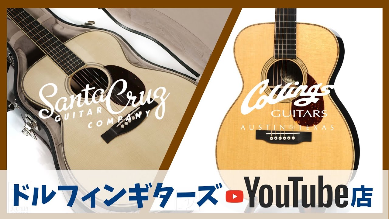 DolphinGuitarsYouTubeShop 