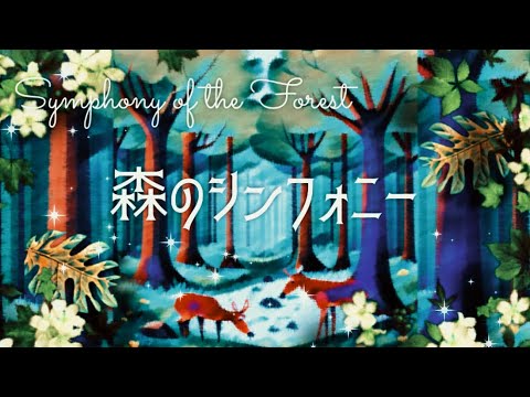森のシンフォニー🌳Symphony of the Forest🌳English translation