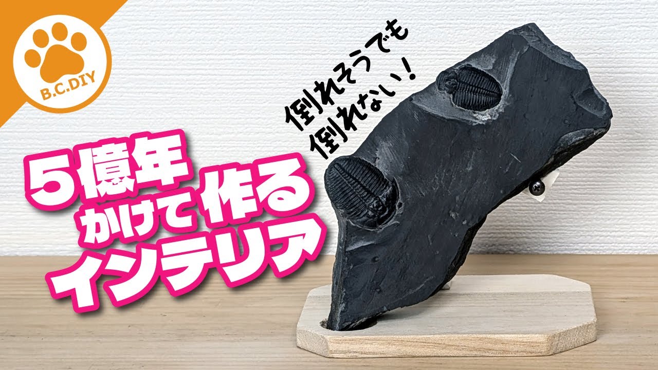 三葉虫の化石でインテリア作ってみた @素人DIY - YouTube