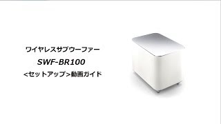ソニー液晶テレビ ブラビア ワイヤレスサブウーファーSWF-BR100