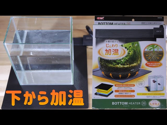 ヒーター】サーモスタットが無く水温が上がり続けるオールガラス水槽