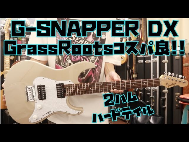 パンギト///グラスルーツ フォレスト ディマジオ&ダンカン グラス