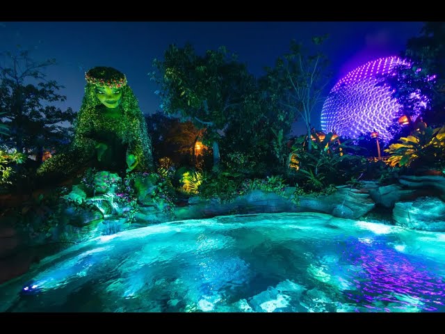 アメリカディズニー モアナ 印刷物 アメリカディズニー モアナ 印刷物