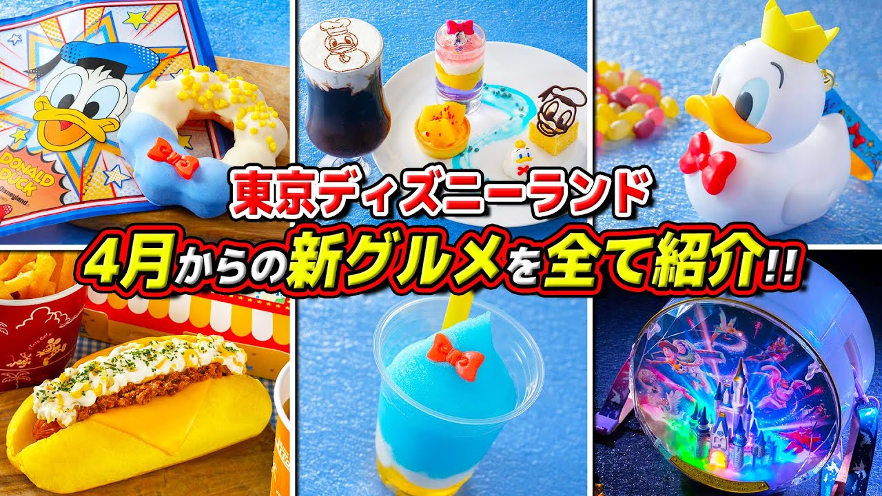 Introducing the latest gourmet food!!] Introducing the gourmet