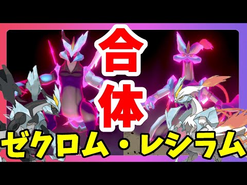 ポケモンソードシールド】伝説ポケモンゼクロムとレシラム！ブラック