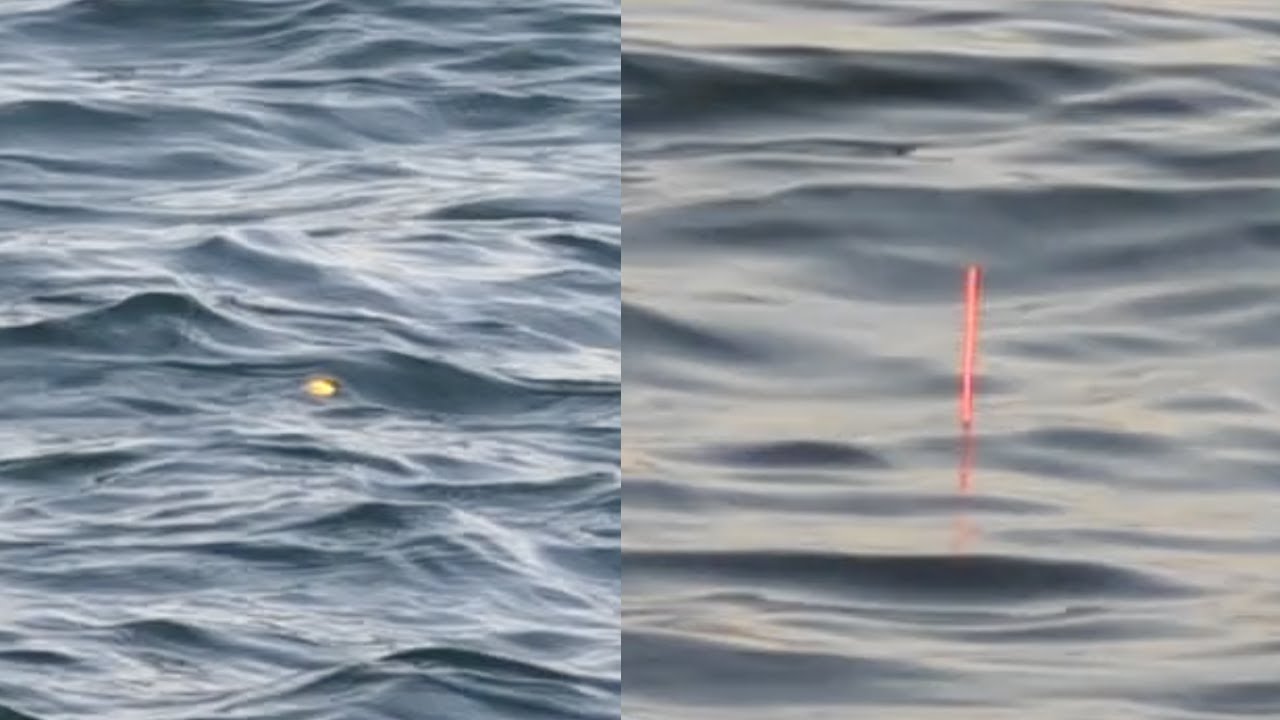 ウキ立て どんぐり浮き ウキ立てディスプレイ 動画あり 松田ウキ 山元