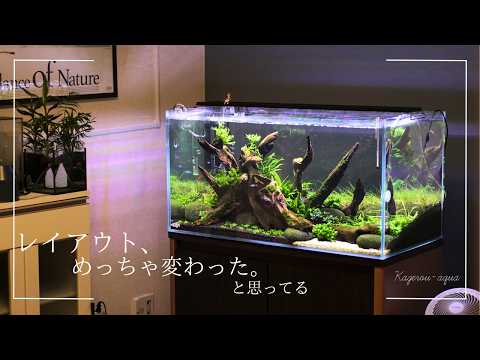 おりゆい様】ADA 90cm水槽 おりゆい様】ADA 90cm水槽