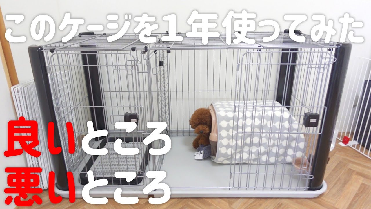 Use this as a reference when choosing a cage (circle)! We'll