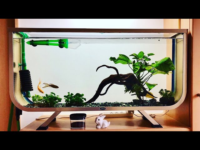 昭和 レトロ 90cm 水槽 当時物