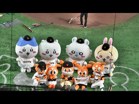 ちいかわ ジャイアンツ ぷちミニマスコット 全8種セット 国内正規品