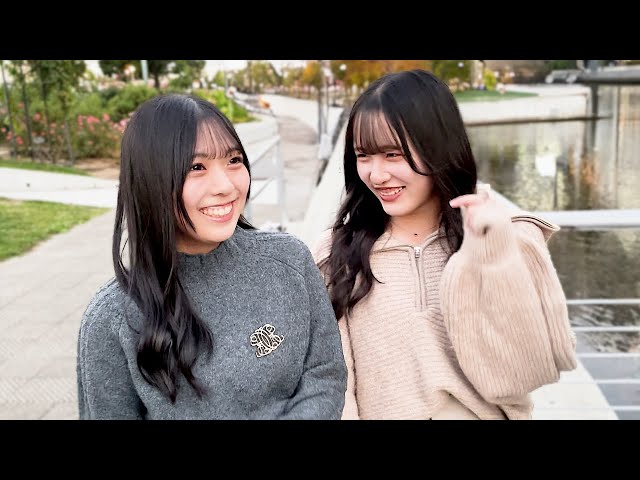 ⭐︎超希少⭐︎ 新子景視 あたらしくん 限定1000個トランプ ⭐︎超