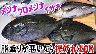 さかな貯金 ブラジル5kg コスタリカ5kg さかな貯金 ブラジル5kg
