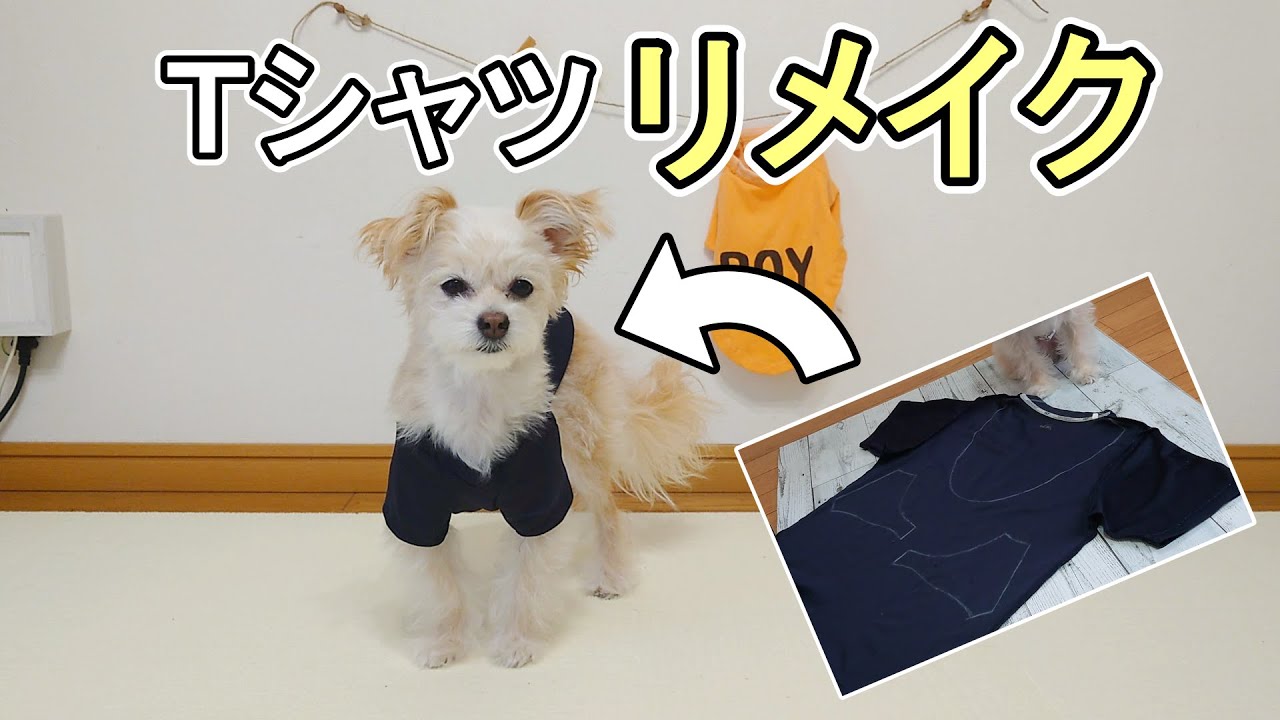 古着から犬の服へ 【公式通販】