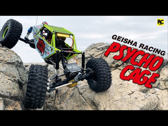 ファイヤバードトランザムブラッキー ラジコン RC ダイシン 昭和レトロ