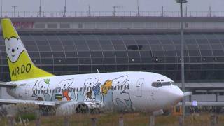 仙台空港 エア・ドゥ ボーイング737-500 JA305Kの特別塗装機「ベアドゥ