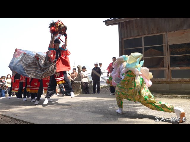 深原の獅子舞 クミウチ 2025年 / 過去30年で2回だけ行われた舞い