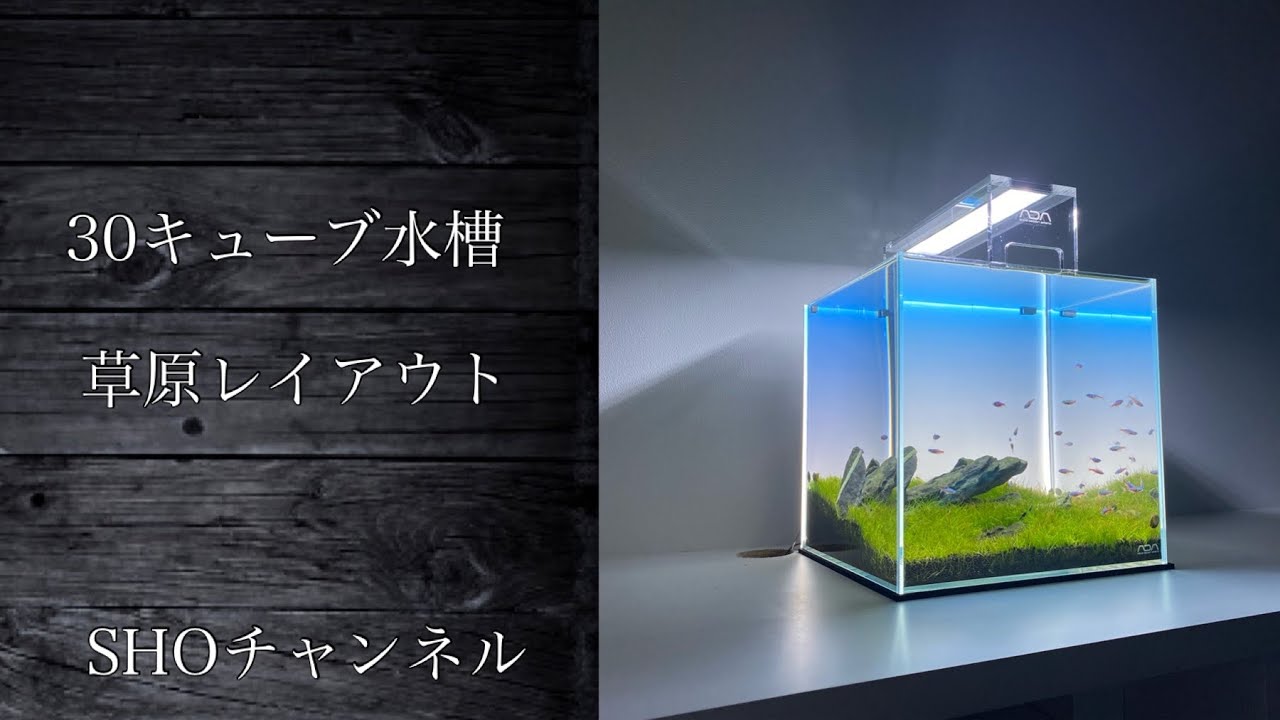 ADA 30cm キューブ水槽 セット