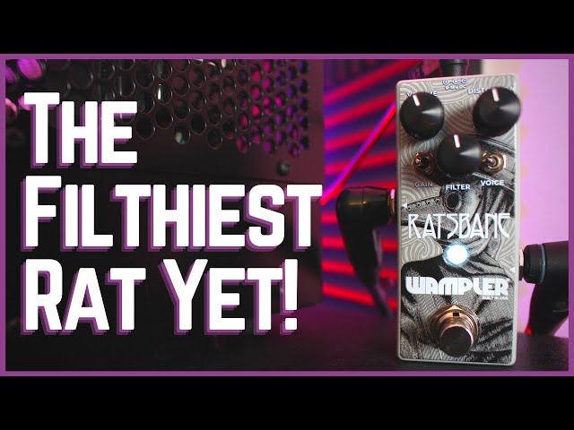 ギター wampler ratsbane Amazon.com: Wampler Ratsbane Distortion