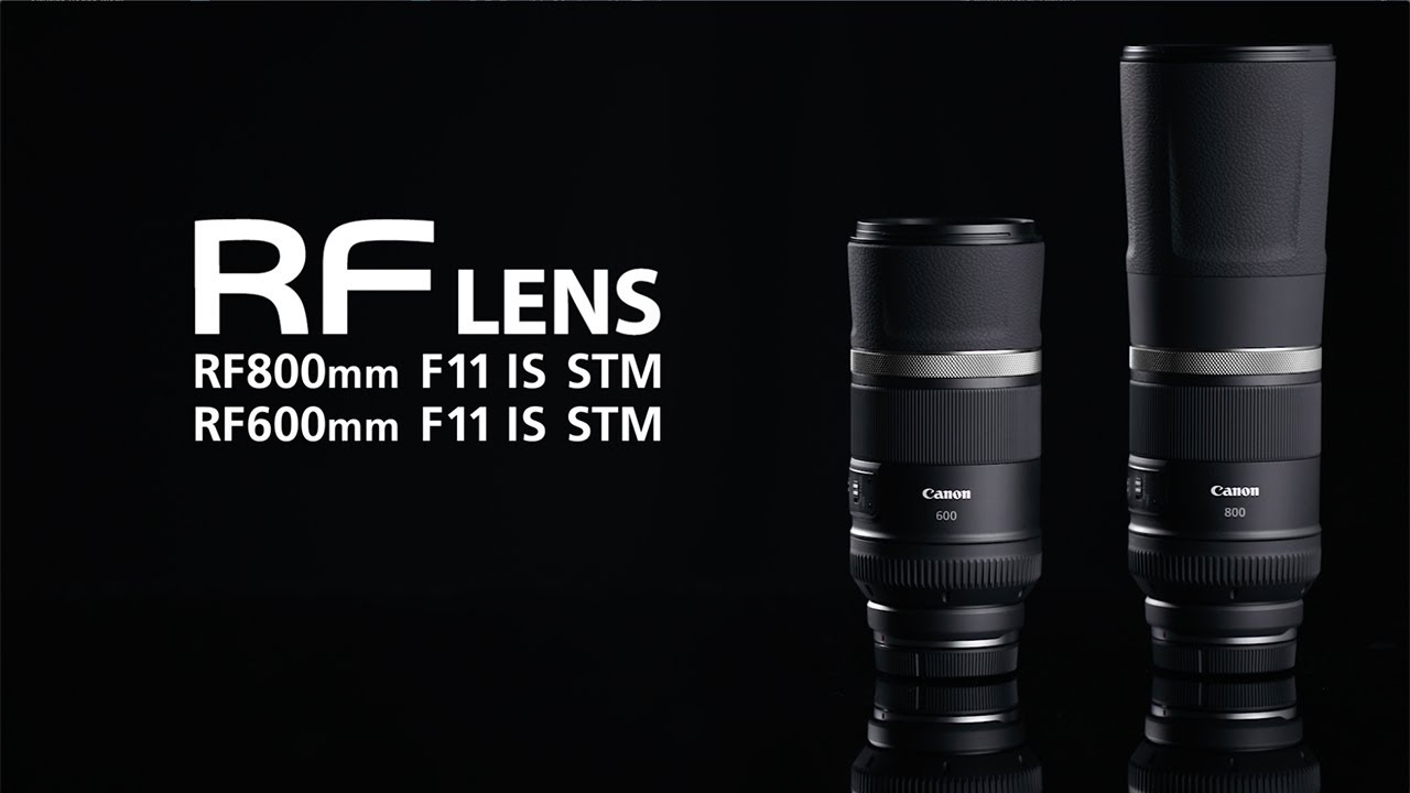 Canon RF800mm F11 IS STM (RFマウント) 5点セット Canon RF800mm F11