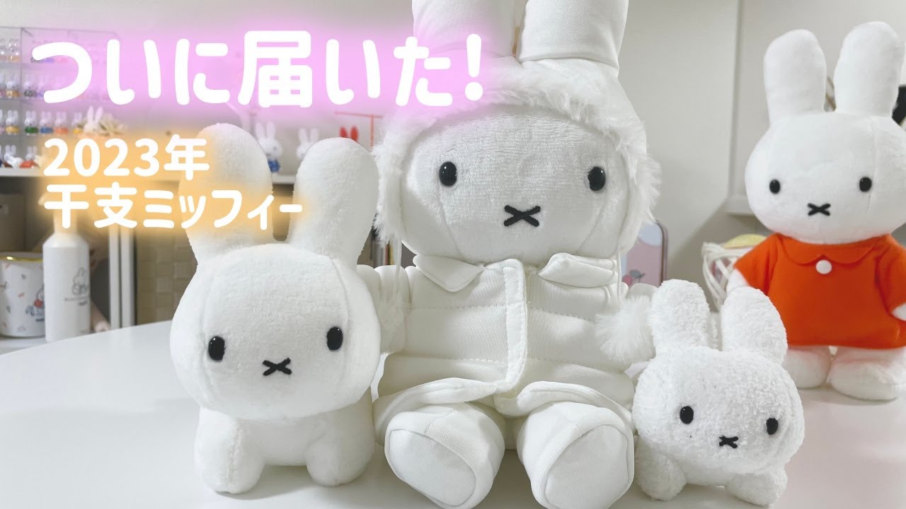 大後悔】miffystyleで買わなかったダウンコート干支ミッフィーを結局