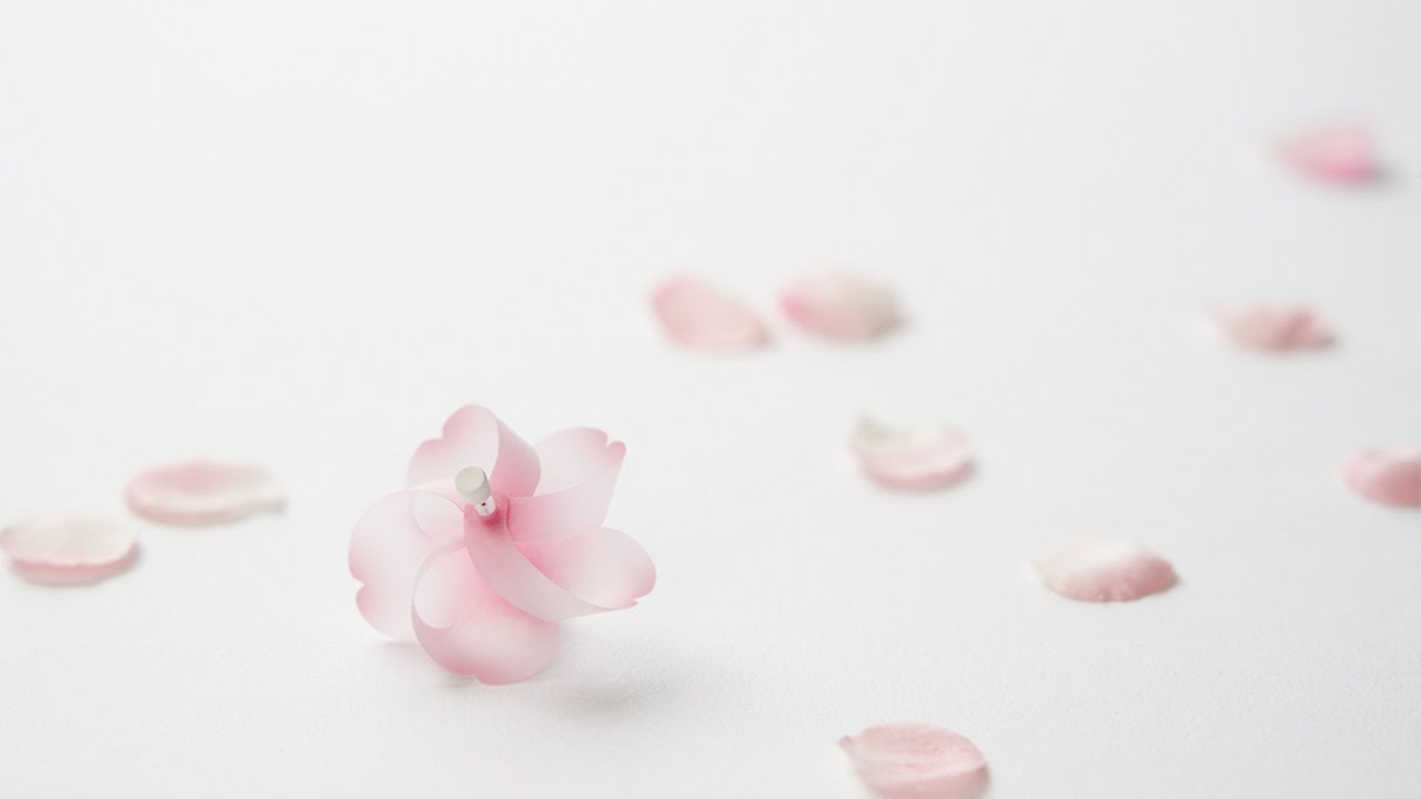 d｜カゼグルマ 桜【3個入り】 | KONCENT Web shop｜アッシュコンセプト