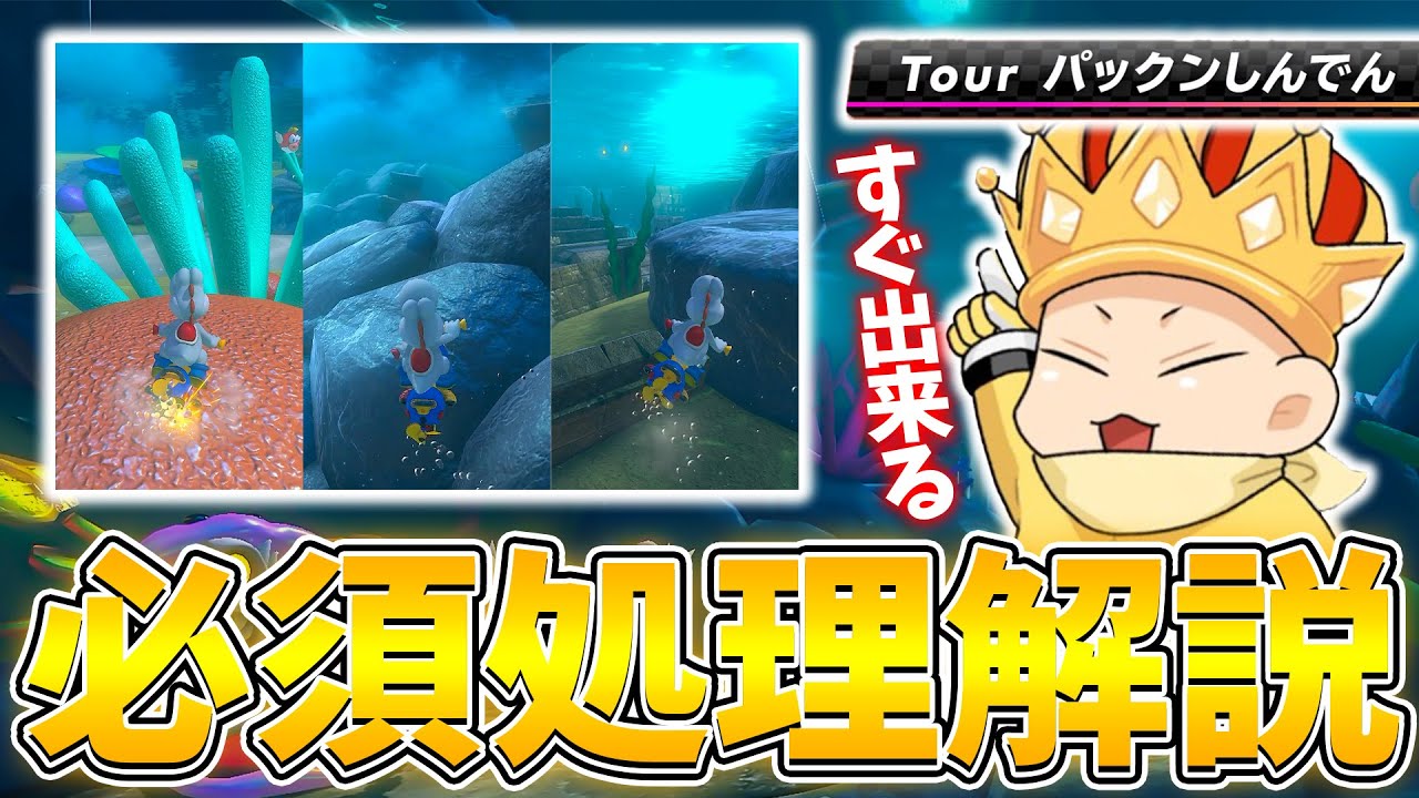 Explanatory Video] Explaining the essential steps for the most