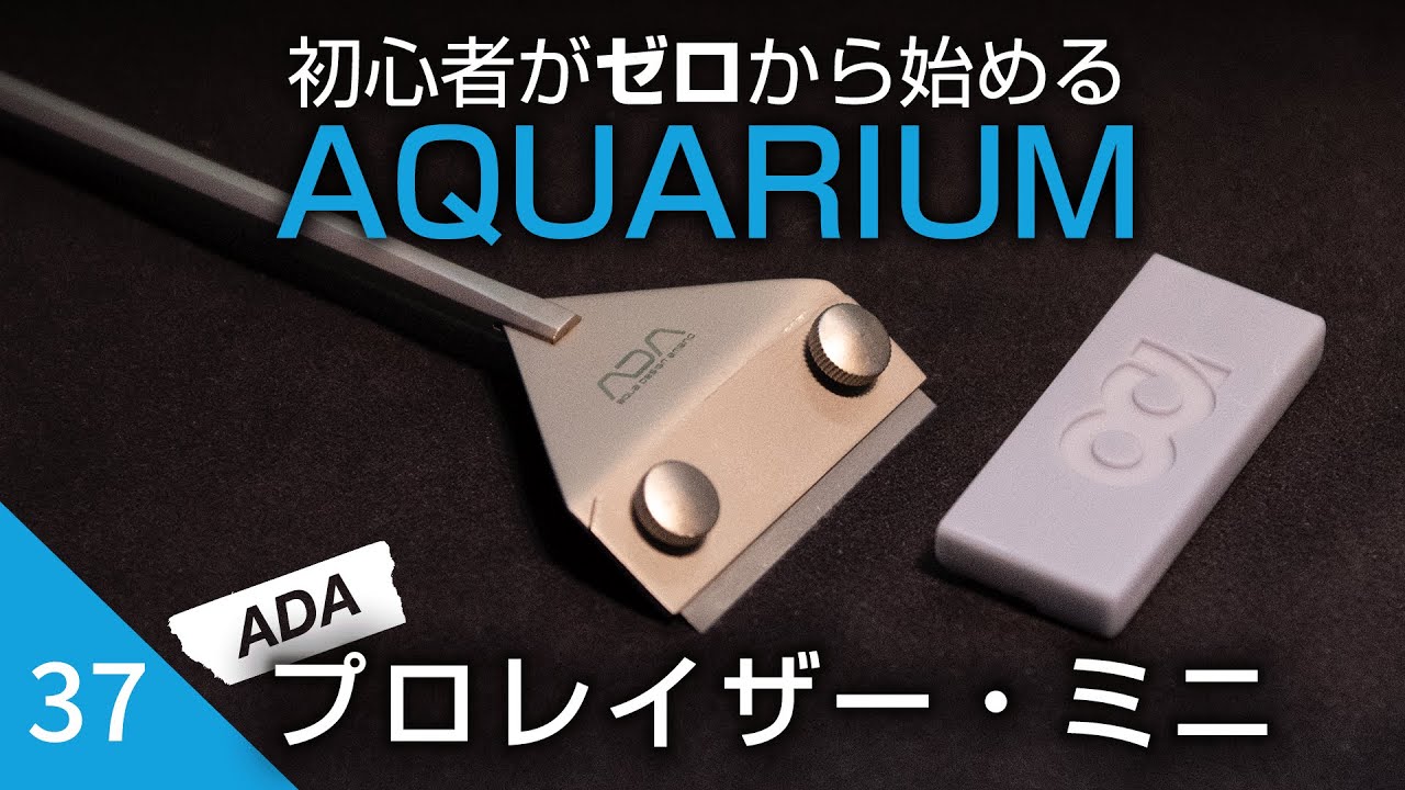 beginner's aquarium challenge [37] First ADA tool, the PRO-RAZOR