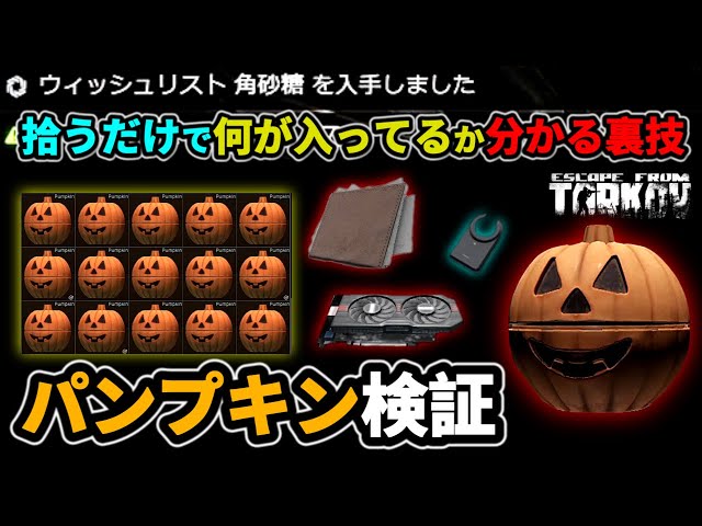 Tarkoff] Pumpkin Verification - YouTube