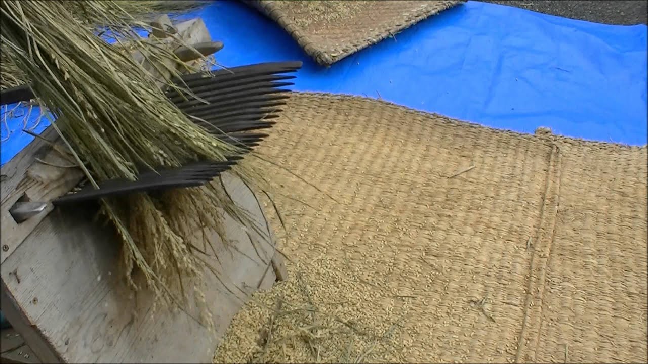 千歯扱き（せんばこき）;thousand teeth thresher - YouTube
