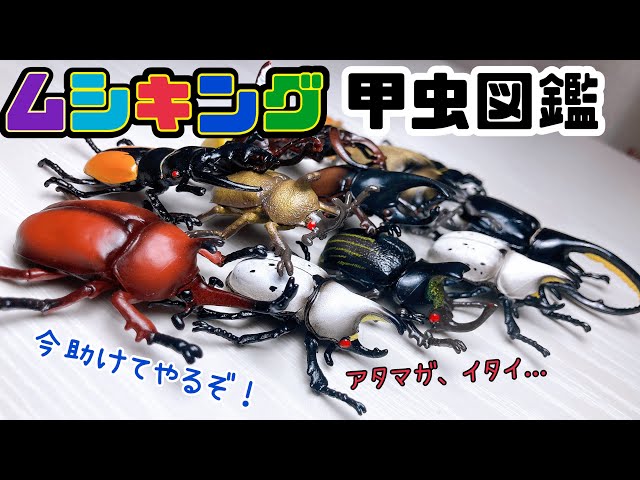 BULLMARK &怪獣郷 キングマイマイ成虫&幼虫セット 現状渡し ホビー