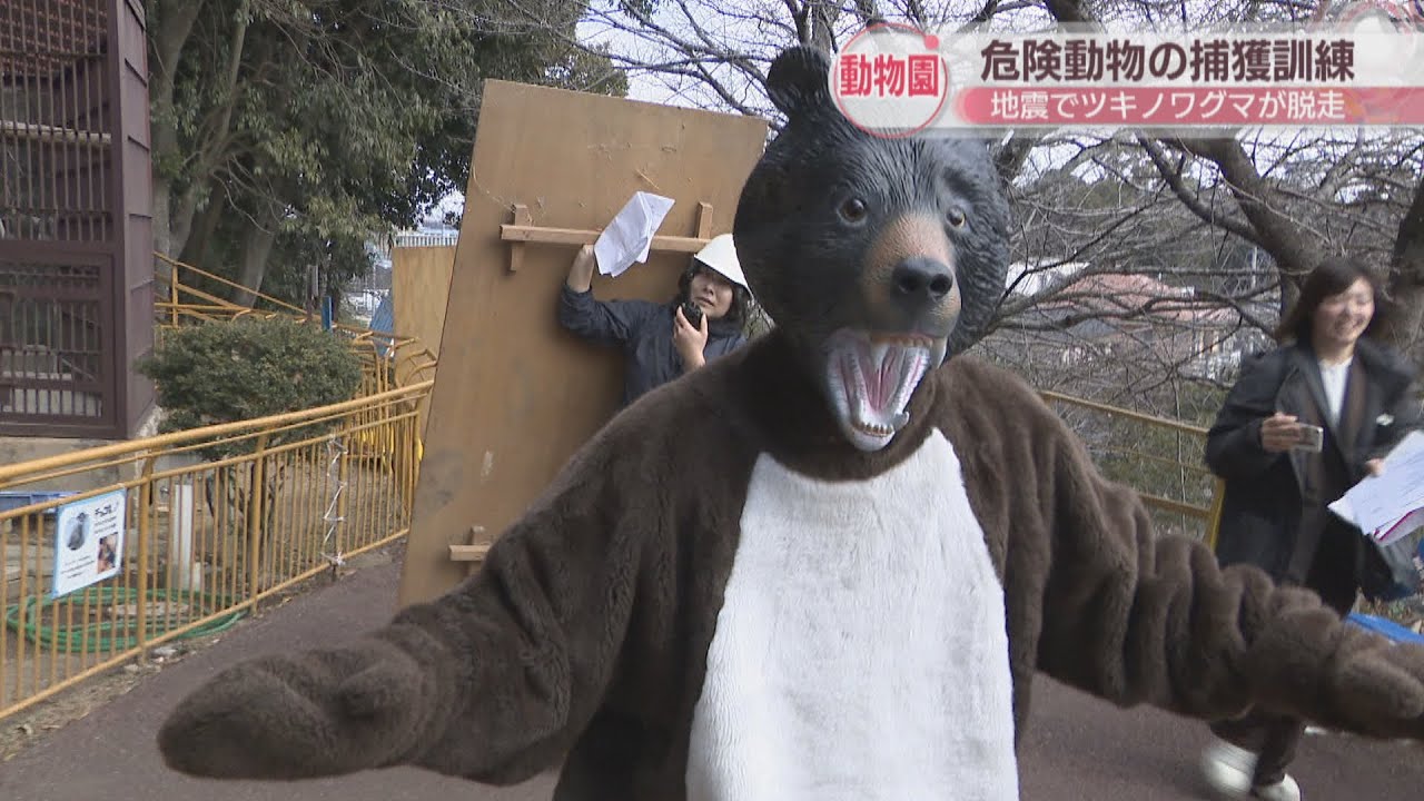 Ikeda Zoo in Okayama City conducts dangerous animal capture