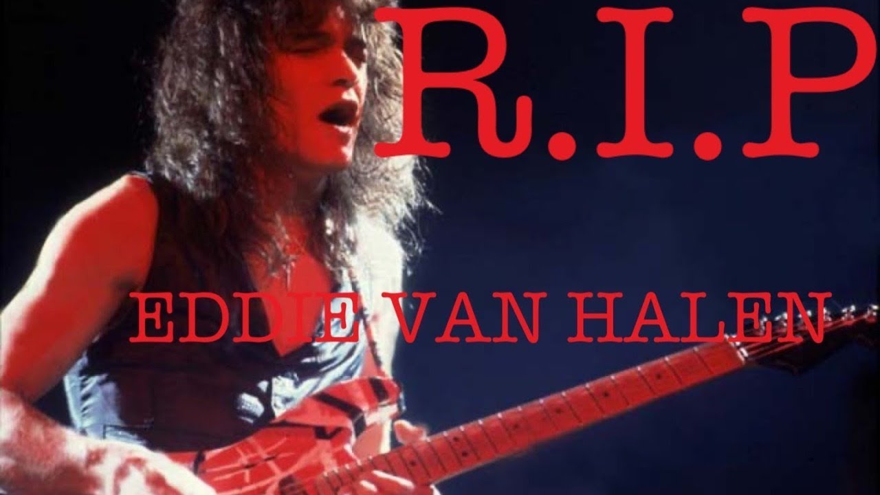 95年来日公演 ヴァン・ヘイレン エドワード・ヴァン・ヘイレン ギター