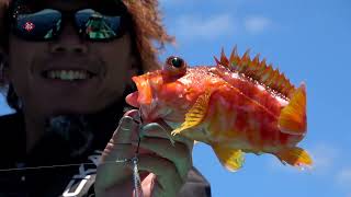 SLJ/Super Light Jigging] Different fishing results can be achieved