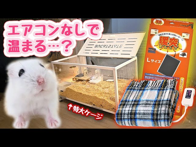 暖房グッズ検証】エアコン無しでハムスター特大ケージは暖められる