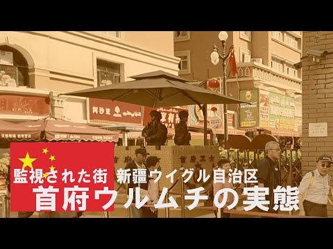 P.tianschanicus（1メス、中国新疆省ウルムチ） maxresdefault.jpg