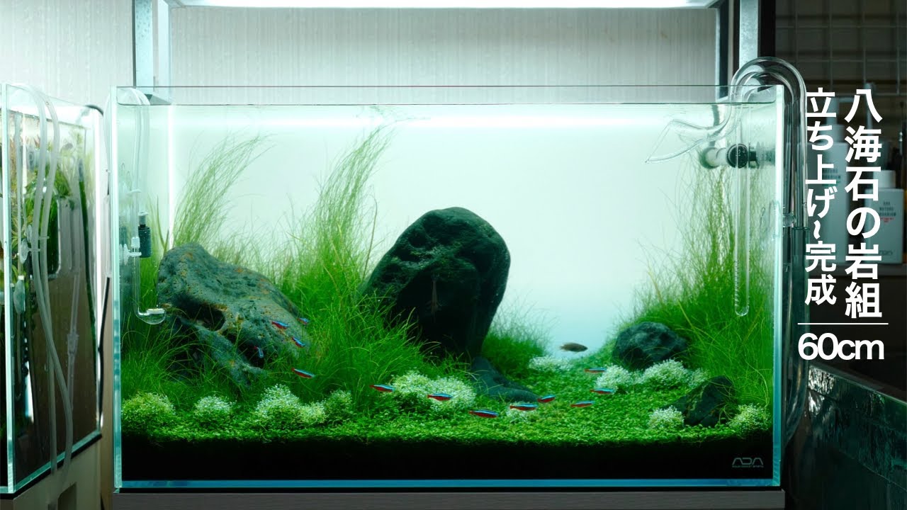 立上げ~完成】八海石の岩組レイアウト #aquarium #アクアリウム #ada