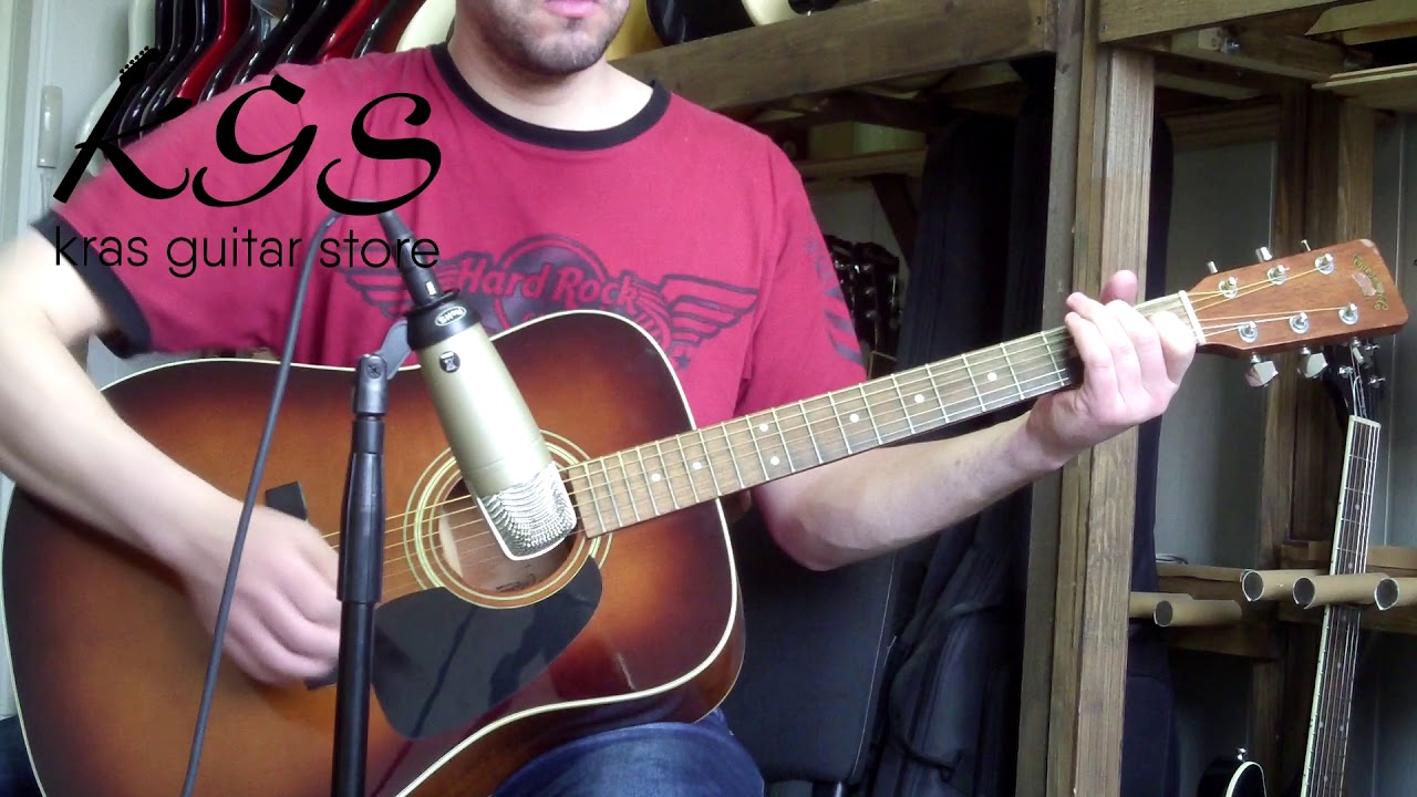 タカミネTD-27(豆しばバージョン) タカミネTD-27(豆しばバージョン